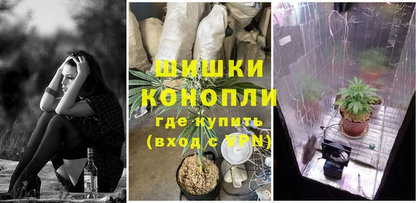 стаф Нея