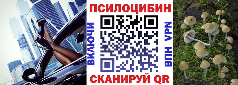 Псилоцибиновые грибы мицелий  наркотики  Озёры 
